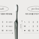 로얄상사 이미지