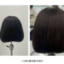 원트헤어 - 남구 | 원트헤어