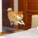 프라임핏(식사점) 이미지