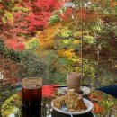 가을 만끽할 수 있는 ‘숲멍’ 카페 BEST 5 이미지