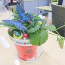 향동숲내초등학교 이미지