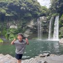 천지연 | 제주 남쪽 여행 코스 천지연폭포 후기 서귀포 아기랑 가볼만한곳