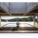 웰니스9 이미지