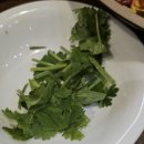 바오하우스