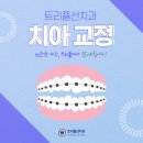 트리플선치과교정과치과의원 이미지