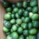 명기농장 이미지