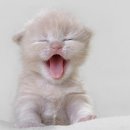 두곡할머니 이미지