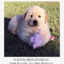 없 음 이미지