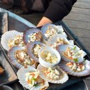 7028 | 해운대 청사포 조개구이 추천 | 오션뷰 조개구이 맛집 | 제이제이가리비 청사포본점 방문 후기