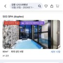 니시스파펜션 이미지