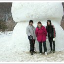 태백로-2 이미지