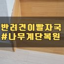 나무계단 반려견이갈이 파손 실내복층계단 샌딩 코팅_시흥 배곧