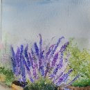 카페 바이올렛 이미지