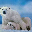 엄마품안 이미지