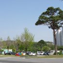 양지천3 이미지