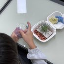 팔공초등학교 이미지