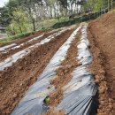 토송농장 이미지