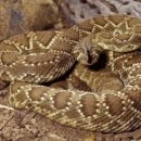 푸른솔한의원 이미지