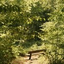 산재장애인협회 무료경로식당 | 에티하드 항공 후기 디시: 이코노미, 승무원 서비스, 수하물 규정 총정리!