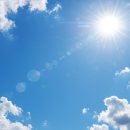 (주)토마토렌트카 이미지