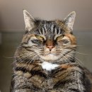 세라치과의원 이미지