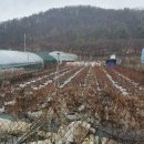 화원농장 이미지