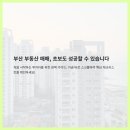 항도공인중개사사무소 이미지