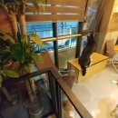 다독다독애견카페 이미지