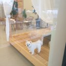 쏘이367 네이버블로그