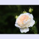 곡성-192 이미지