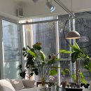 헤어미용(자격증) 이미지