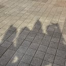 벨듀