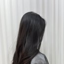 태아드헤어 네이버블로그