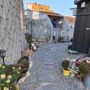 가평남이섬투투스파펜션 이미지