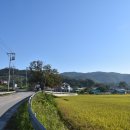 상구2리 이미지