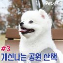 (주)펫앤바이오 이미지