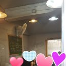 안젤라미용실 이미지