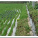 솔뫼농장 이미지