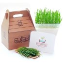 소하노인종합복지관 이미지