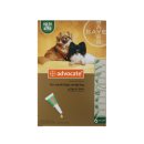 홍익약국 이미지