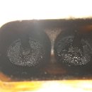 프로카센타 이미지