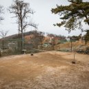 마니꼴똥돼지 펜션 이미지