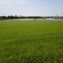 성지 태양광발전소 이미지