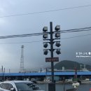 동남호대게 이미지