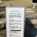 태인 애견 이미지