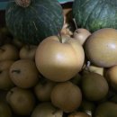 애지농장 이미지