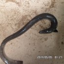 노지하우스 이미지