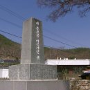 최강수 카카오 검색결과