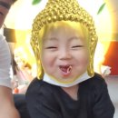 단국대스타태권도 이미지