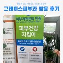 그레이스피부과 점 제거 솔직후기. 전문의 선생님 야간진료